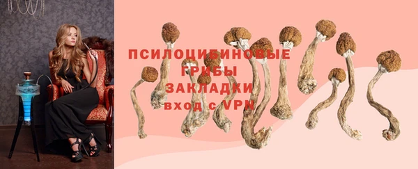 дживик Алексеевка