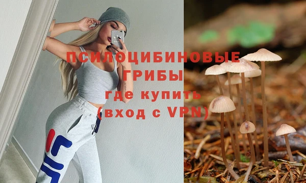 ПСИЛОЦИБИНОВЫЕ ГРИБЫ Абаза