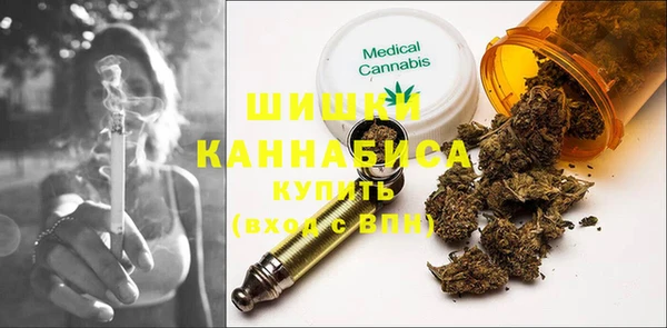 ПСИЛОЦИБИНОВЫЕ ГРИБЫ Абаза