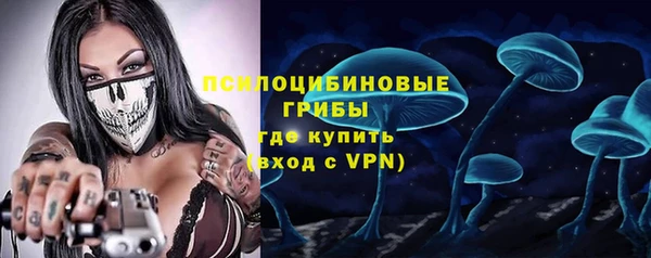 ПСИЛОЦИБИНОВЫЕ ГРИБЫ Абаза