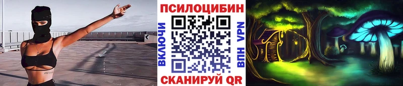 где продают наркотики  Адыгейск  Псилоцибиновые грибы GOLDEN TEACHER 